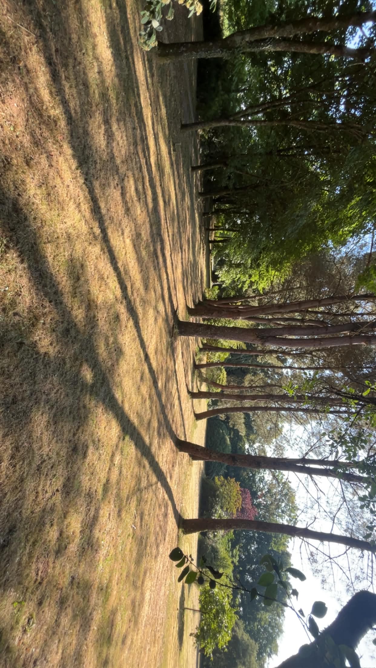 Entretien d'un grand parc arboré en Vendée